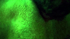 Ultra Close-Up of Latina's Big Pussy Lips Licked by Tongue in Accountant Adventures