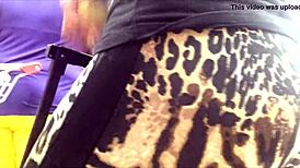 Veteran foreigner in leopard leggings