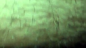 The story of teen babe Irmã Marcinha in her everyday adventures.