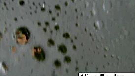 Buxom Alison Tyler Rubs Herself in the Bath