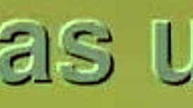 An hairy pussy from controversial pornstar…