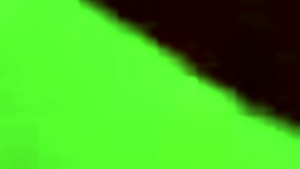 asian girl moans during hardcore quickie