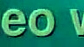 An hairy pussy from controversial pornstar…