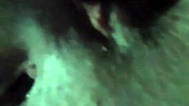 video fan for 60 reais, 5 min, zap 11987098711