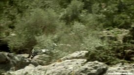 Lesbian Babes Boldly Fuck With Dildos And Toys