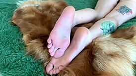 Hey, worship my sexy feet and toes with Nika's domination