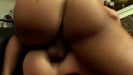 hot donna is fucking on top in this interracial scene