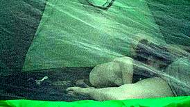 Lesbian illusion girls fuck passionately in nature