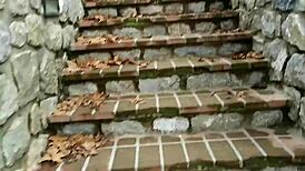 Passionate outdoor blowjob with natural tits flashing in the park