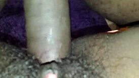 Hairy pussy moaning as it gets pounded by amateurs