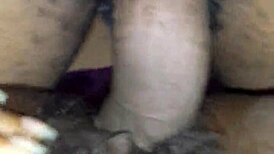 Hairy pussy moaning as it gets pounded by amateurs