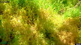 Cum Quickly In Pantyhose During Air Raid Warning