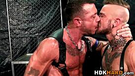 gay studs get ass creampied