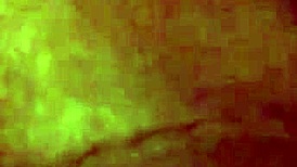 Latina Babe Fucks Big Black Cock Doggy Style