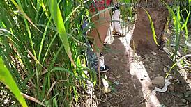 Brazilian Guy Can't Resist Friend