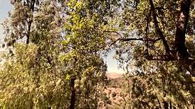 Hey, suck my balls in Hollywood Hills, CA for movie part 5