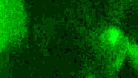 lesha chokes and gags on sloppy deepthroat blowjob 😈