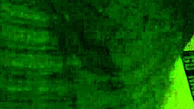 Ex Girlfriend's Video File from 18-19 Years