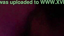 A Latina BBW MILF Sucks Black Bull's Cock Nicely