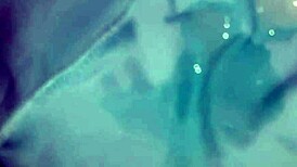 Watch me masturbate and cum in my best friend's favorite blue panties!