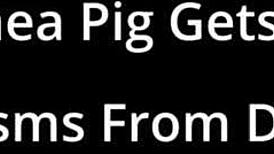 LAINey Gets Mandatory Hitachi Orgasms In Medical Experiments By Doctor Tampa