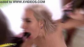 dry ferrero elite coco de wit gets wild with bbc dvp training.