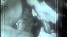 Two centuries of vintage pornography featuring hairy pussy fucking