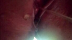 Duk And David Explore Hairless, Shaved Pussy Adventures In Raw, Intense Sessions. Their Bold Encounters Highlight Every Shaved Detail.