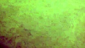 amber's birthday bbc surprise