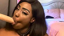 Lexo Butterfly Sucks That Cock Off The Wall!