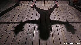 브루넷이 스프레드 이글 본디지로 세게 채찍 맞는 거 봤어