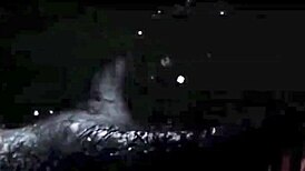 I love vintage interracial group sex