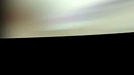 Ex Bbb Brazil Model Trailer