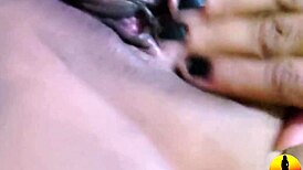 Ex Bbb Brazil Model Trailer