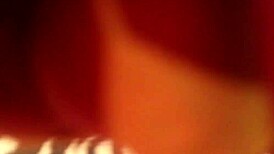 Is Cibely Yasmin a shemale or something more intriguing?