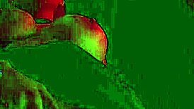 Blonde med store patter i gruppeaction