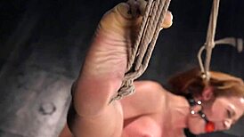 “Feel this toy torment in my dungeon!”