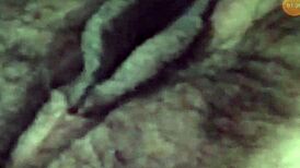 Vietnamese Girl Chats Sex Then Beds Partner