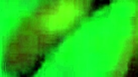 That redhead slut in stockings and uniform is bent over getting fucked doggy style.