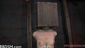 Caged honey gets rough oral gratification