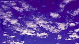 Tatsumaki's Huge Ears In Ocean Raft Hentai