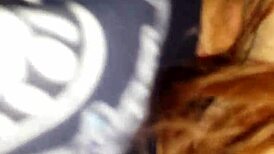 slut sucking dick until cum in mouth in homemade bbw action