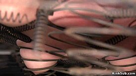 Locked collar participant receives firm correction