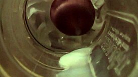 Gay Amateur Videos Compilation Featuring Blowjobs And Swallows