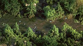 Complete gameplay - the genesis order part 37