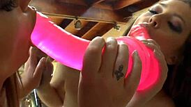 Roundass babes go wild with dildo sucking in compilation