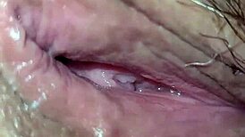 Stallion in a descriptive scene