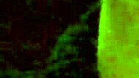 Can I lick your pregnant slut? blowjob sucking rimjob