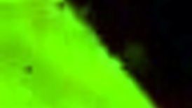 Can I lick your pregnant slut? blowjob sucking rimjob