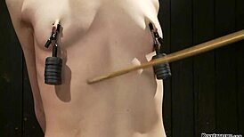 Μικρή υποτακτική δεμένη σφιχτά σε έντονες συσκευές. Αντέχει σκληρό βασανισμό καθημερινά.